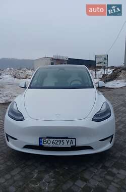 Tesla Model Y  2021