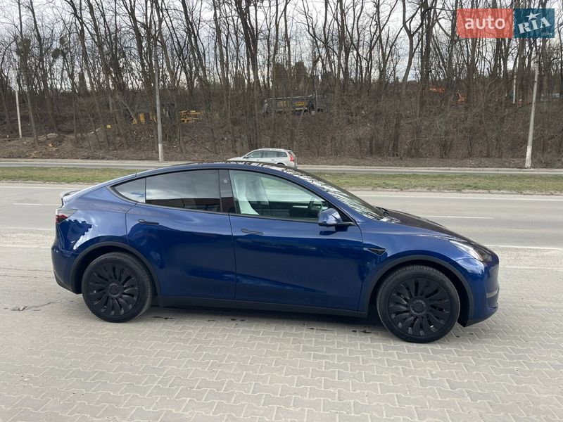 Внедорожник / Кроссовер Tesla Model Y 2024 в Черновцах