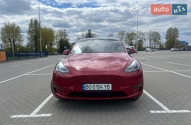 Tesla Model Y  2023