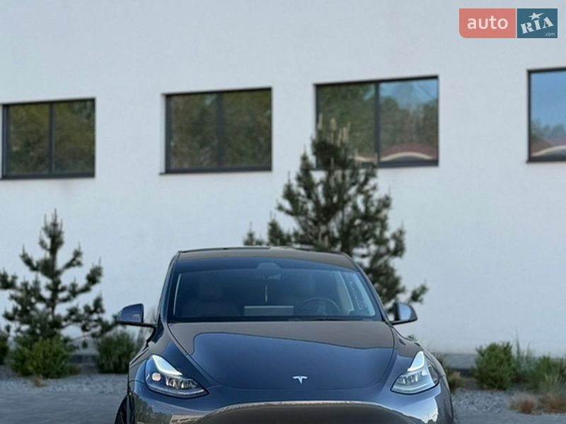 Внедорожник / Кроссовер Tesla Model Y 2022 в Луцке