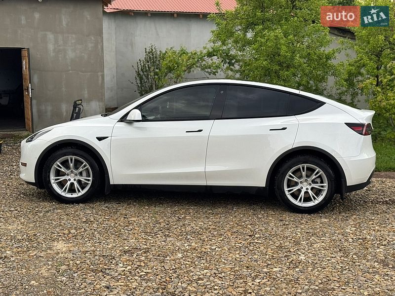 Внедорожник / Кроссовер Tesla Model Y 2021 в Коломые фото 10 Внедорожник / Кроссовер Tesla Model Y 2021 в Коломые