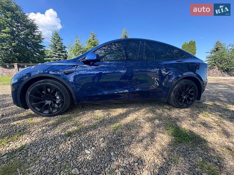 Внедорожник / Кроссовер Tesla Model Y 2021 в Моршине