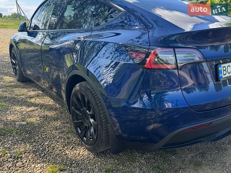 Внедорожник / Кроссовер Tesla Model Y 2021 в Моршине