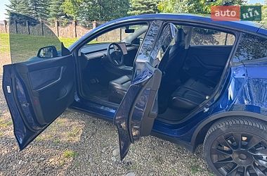 Внедорожник / Кроссовер Tesla Model Y 2021 в Моршине