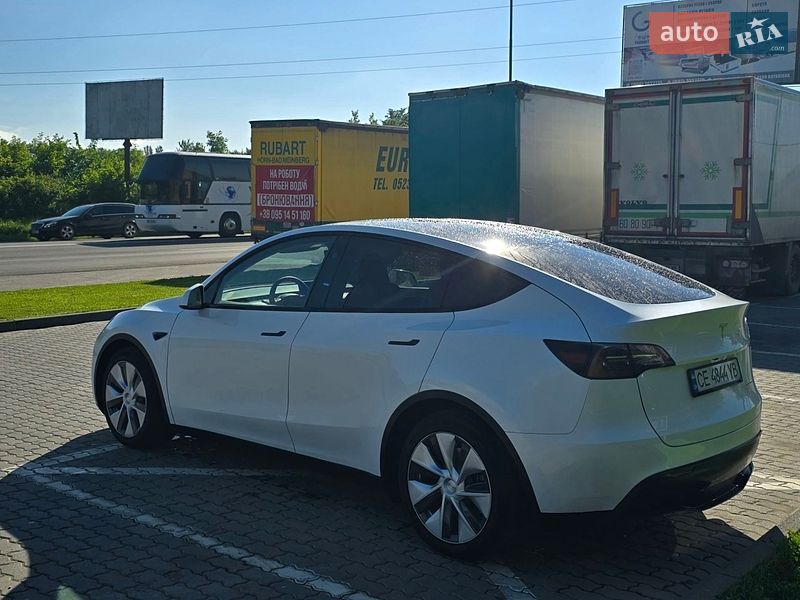 Внедорожник / Кроссовер Tesla Model Y 2023 в Черновцах