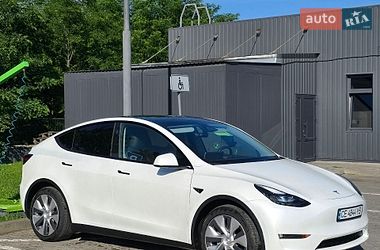 Внедорожник / Кроссовер Tesla Model Y 2023 в Черновцах