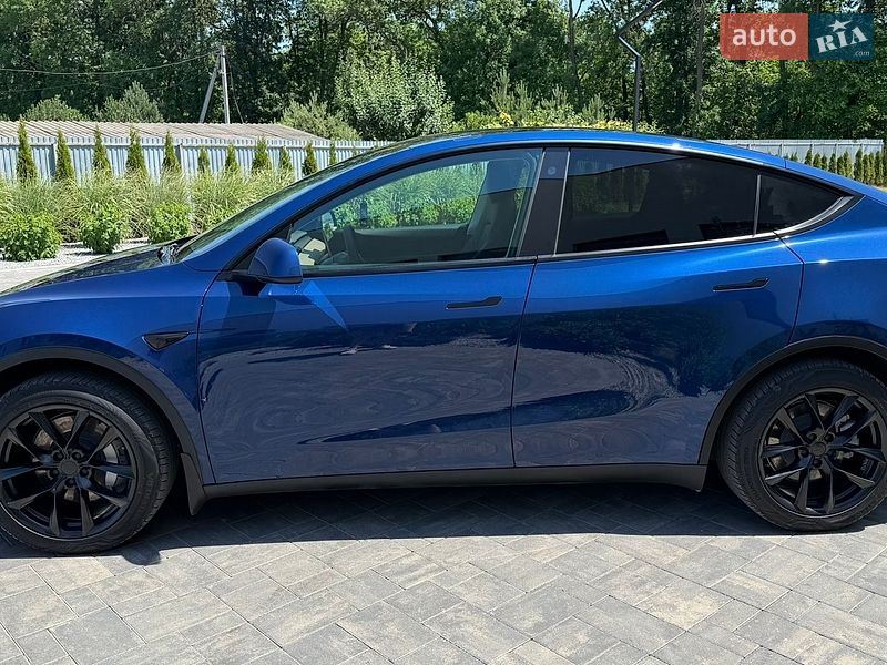 Внедорожник / Кроссовер Tesla Model Y 2021 в Луцке