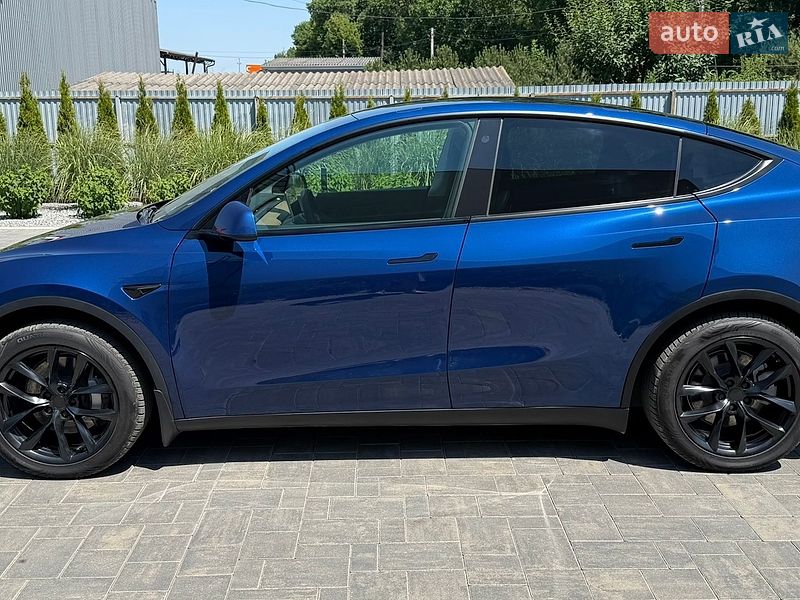Внедорожник / Кроссовер Tesla Model Y 2021 в Луцке