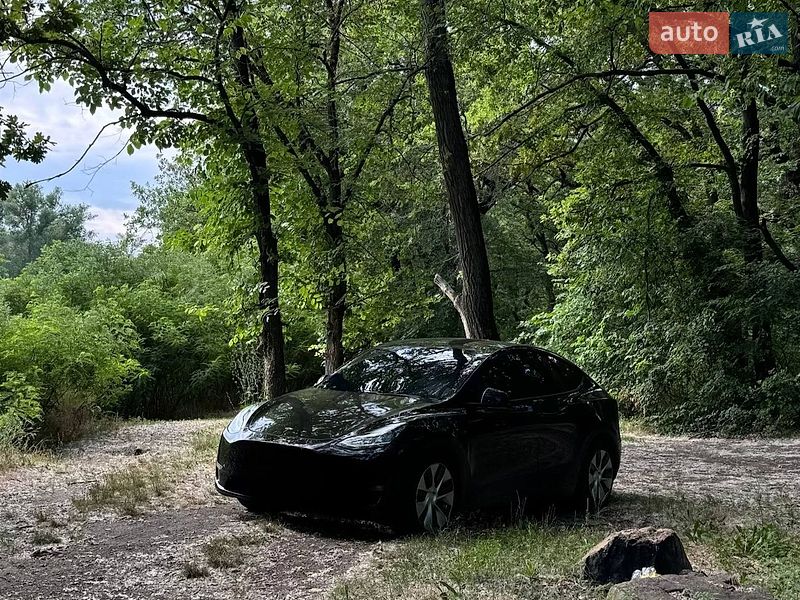 Позашляховик / Кросовер Tesla Model Y 2020 в Кам'янському