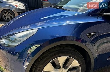 Внедорожник / Кроссовер Tesla Model Y 2021 в Киеве