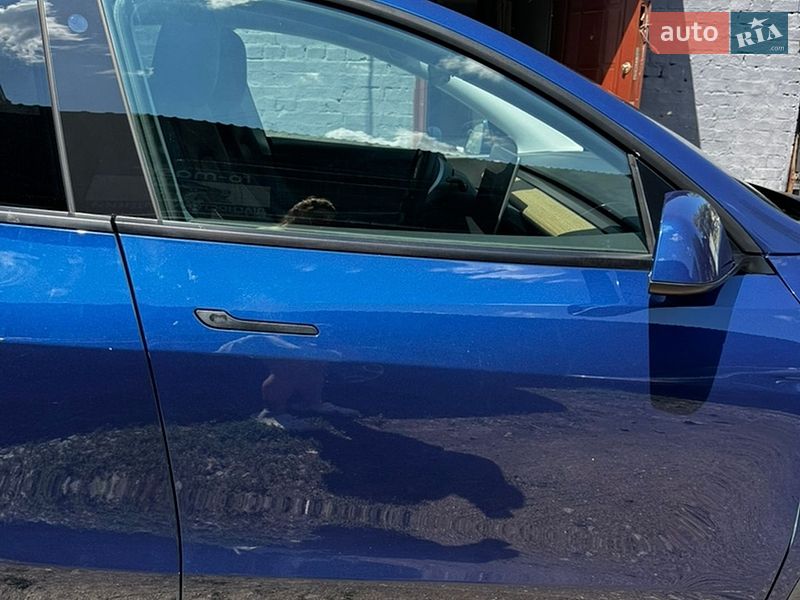 Внедорожник / Кроссовер Tesla Model Y 2021 в Киеве