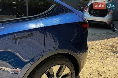 Внедорожник / Кроссовер Tesla Model Y 2021 в Киеве