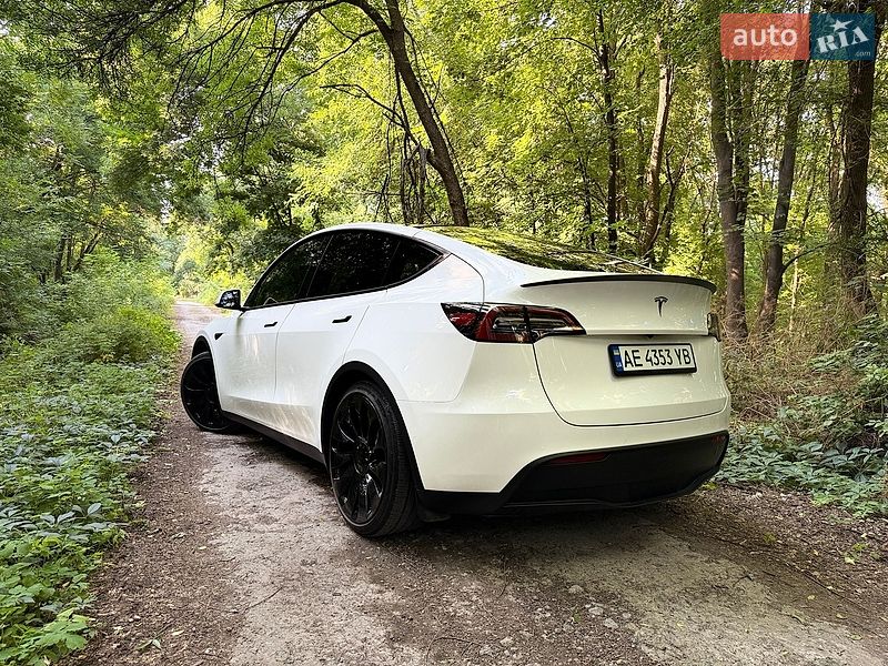 Позашляховик / Кросовер Tesla Model Y 2021 в Дніпрі фото 19 Позашляховик / Кросовер Tesla Model Y 2021 в Дніпрі