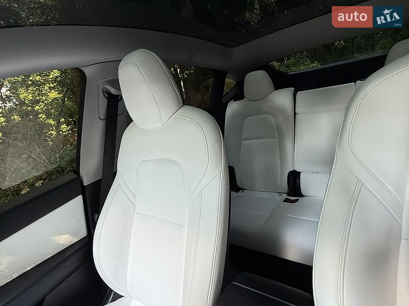 Позашляховик / Кросовер Tesla Model Y 2021 в Дніпрі фото 21 Позашляховик / Кросовер Tesla Model Y 2021 в Дніпрі