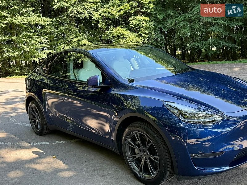 Позашляховик / Кросовер Tesla Model Y 2024 в Львові