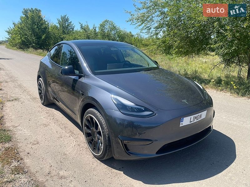 Внедорожник / Кроссовер Tesla Model Y 2023 в Кривом Роге