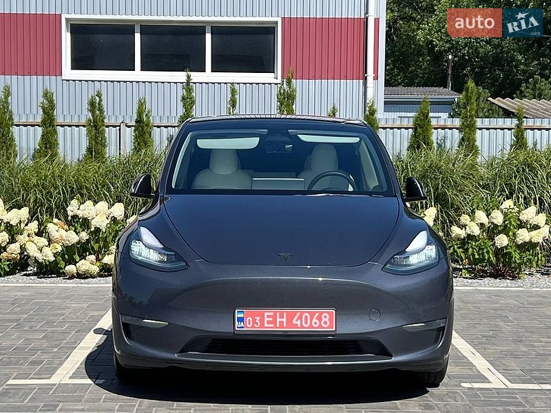 Позашляховик / Кросовер Tesla Model Y 2023 в Луцьку