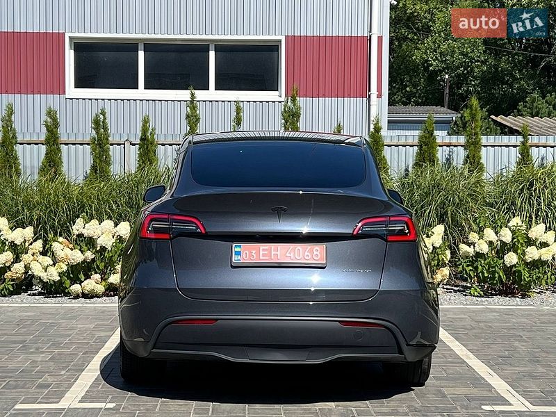 Позашляховик / Кросовер Tesla Model Y 2023 в Луцьку