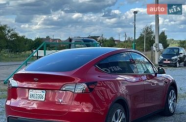 Внедорожник / Кроссовер Tesla Model Y 2023 в Костополе