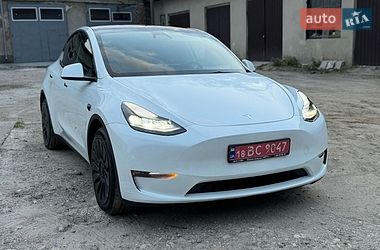 Внедорожник / Кроссовер Tesla Model Y 2023 в Кременце фото 30 Внедорожник / Кроссовер Tesla Model Y 2023 в Кременце