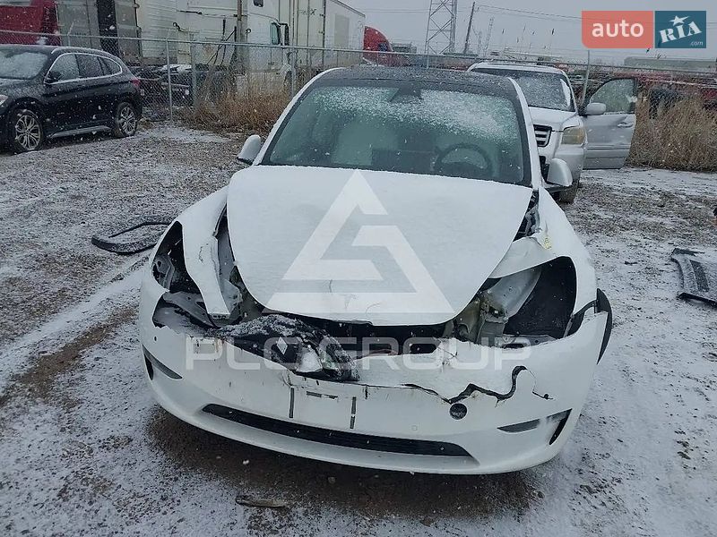 Позашляховик / Кросовер Tesla Model Y 2022 в Києві