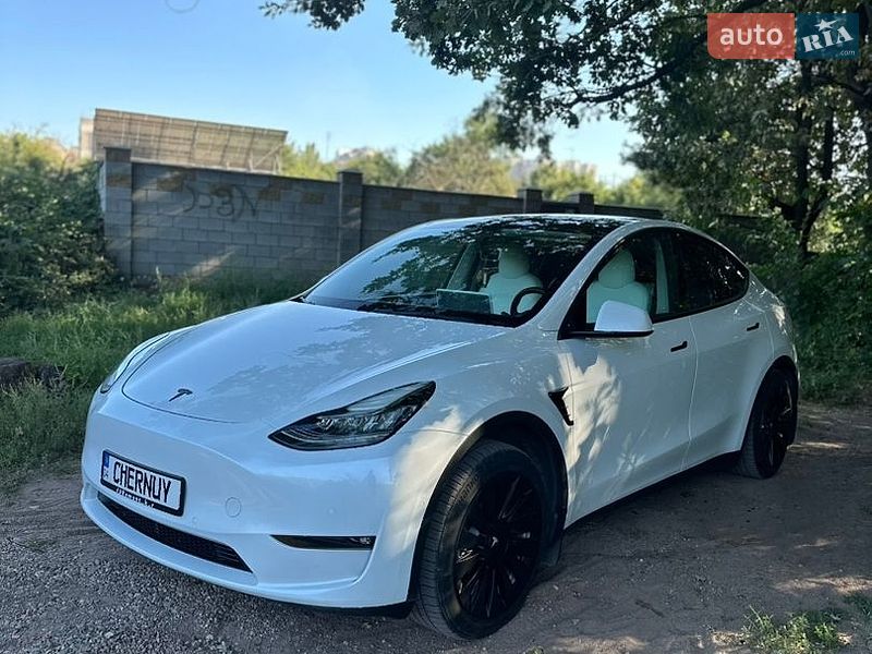 Внедорожник / Кроссовер Tesla Model Y 2021 в Кривом Роге