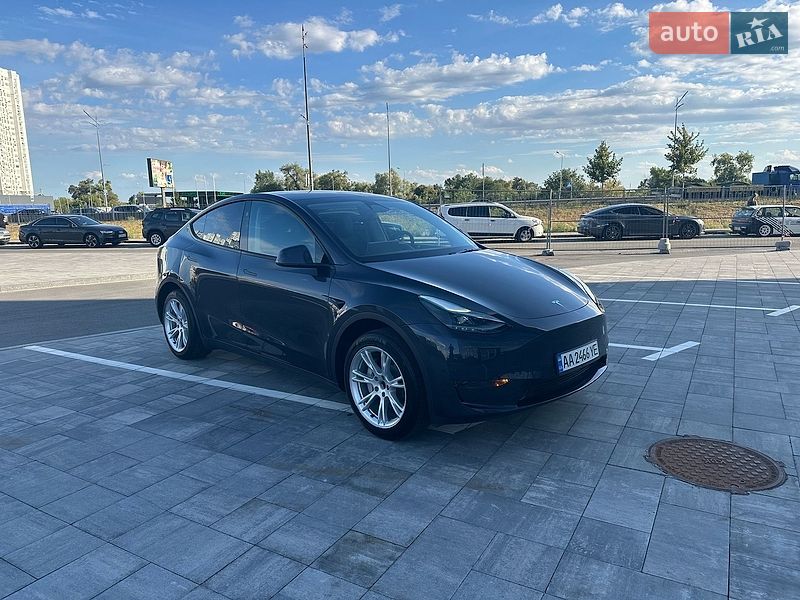 Позашляховик / Кросовер Tesla Model Y 2024 в Києві