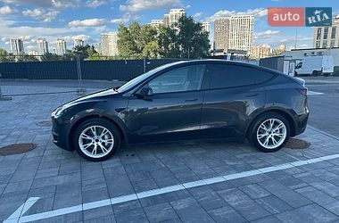 Позашляховик / Кросовер Tesla Model Y 2024 в Києві