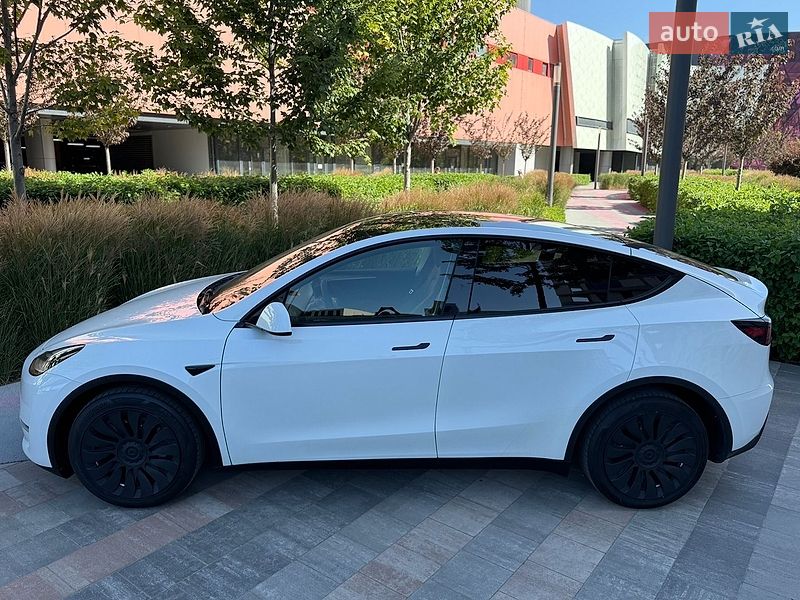Позашляховик / Кросовер Tesla Model Y 2023 в Києві