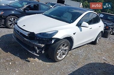 Tesla Model Y  2020