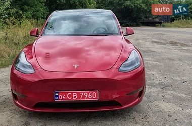 Позашляховик / Кросовер Tesla Model Y 2021 в Києві