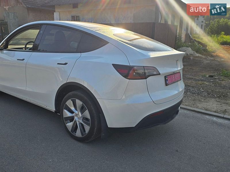 Внедорожник / Кроссовер Tesla Model Y 2023 в Городенке