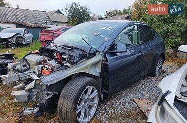 Tesla Model Y  2023