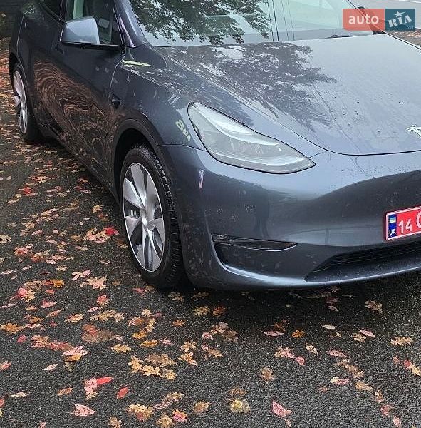 Внедорожник / Кроссовер Tesla Model Y 2023 в Киеве