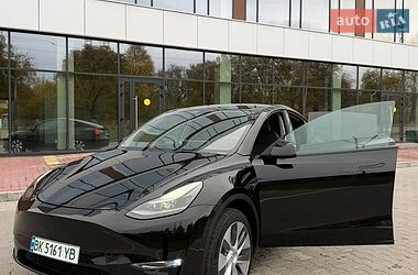 Позашляховик / Кросовер Tesla Model Y 2024 в Рівному