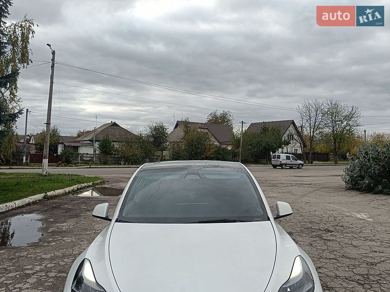 Позашляховик / Кросовер Tesla Model Y 2022 в Сквирі фото Позашляховик / Кросовер Tesla Model Y 2022 в Сквирі