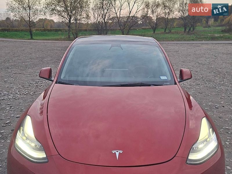 Позашляховик / Кросовер Tesla Model Y 2023 в Бучі