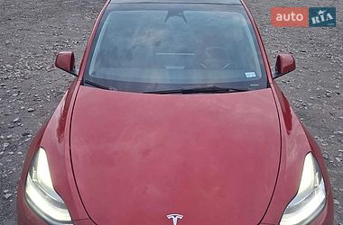 Позашляховик / Кросовер Tesla Model Y 2023 в Бучі