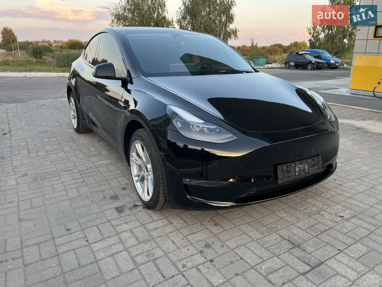 2023 Tesla Model Y - фото 1