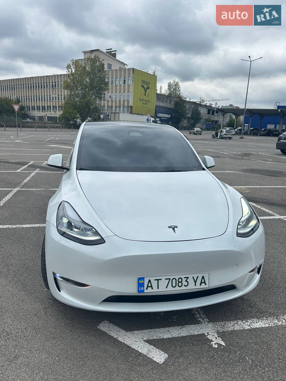 2024 Tesla Model Y - фото 1