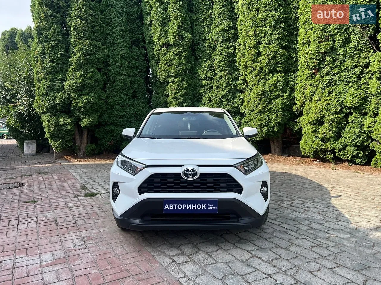 2019 Toyota RAV 4 - мініатюра 2