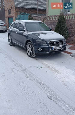 Цены Audi Внедорожник / Кроссовер в Чернигове