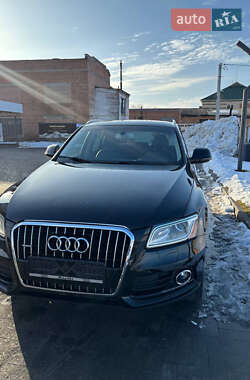 Цены Audi Внедорожник / Кроссовер в Лубнах