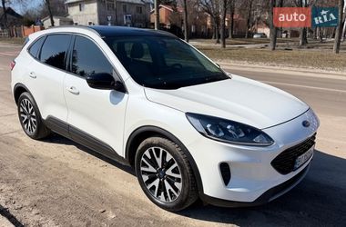 Цены Ford Внедорожник / Кроссовер в Сумах