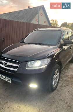 Цены Hyundai Внедорожник / Кроссовер в Шостке