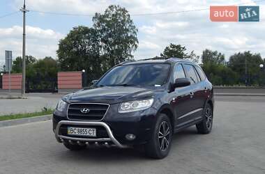 Цены Hyundai Внедорожник / Кроссовер в Дрогобыче