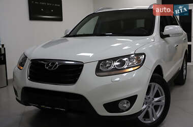 Ціни Hyundai Позашляховик / Кросовер в Дрогобичі