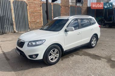 Ціни Hyundai Позашляховик / Кросовер в Миколаєві