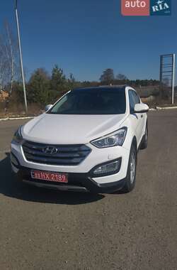 Цены Hyundai Внедорожник / Кроссовер в Радивилове