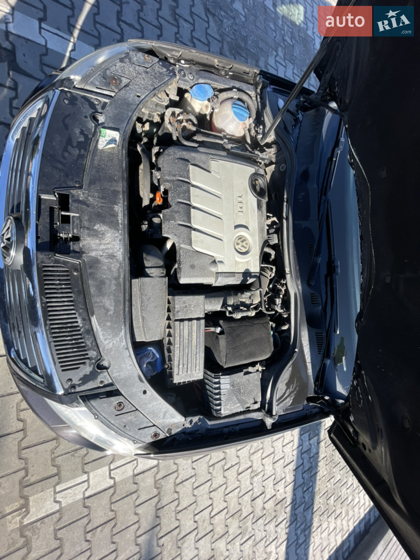 Volkswagen Passat 2009 VIN WVWZZZ3CZ9E120498 фото оголошення 23 з 26
